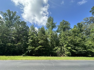 Lake Lot For Sale in Tignall, Georgia