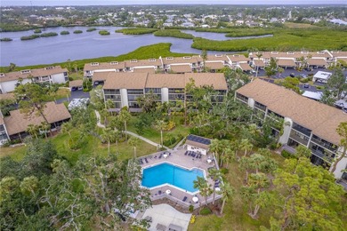 Welcome to Paradise at 832 Bird Bay Way and discover - photo 3