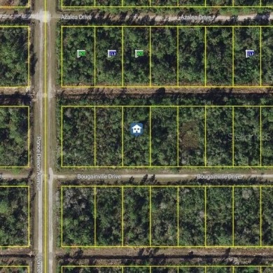 Lake Weohyakapka Lot For Sale in Indian Lake Estates Florida