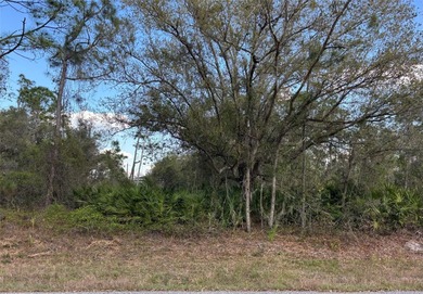 Port Charlotte Waterway Area Lot For Sale in Port Charlotte Florida