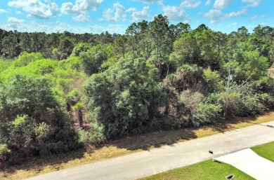 Lehigh Acres Area Lot For Sale in Lehigh Acres Florida