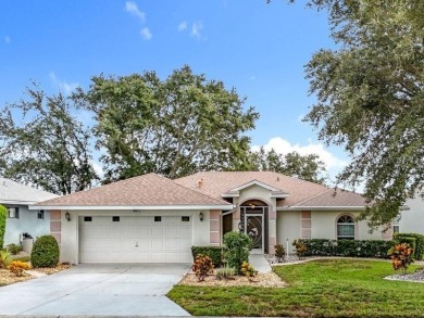 (private lake, pond, creek) Home For Sale in Leesburg Florida