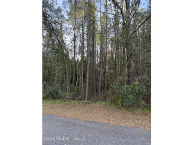 Great vacant lot just minutes from the water. Enjoy easy access - photo 2