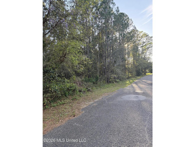 Great vacant lot just minutes from the water. Enjoy easy access - photo 3