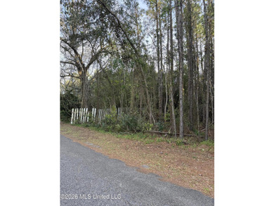 Great vacant lot just minutes from the water. Enjoy easy access - photo 4