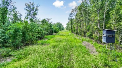  Acreage For Sale in Other Louisiana