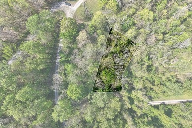 Tucked away just minutes from Center Hill Lake, this vacant lot - photo 1