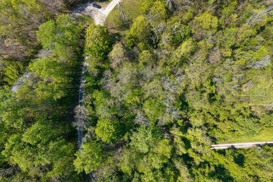 Tucked away just minutes from Center Hill Lake, this vacant lot - photo 2