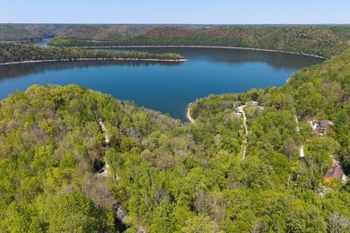 Tucked away just minutes from Center Hill Lake, this vacant lot - photo 4