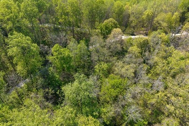 Tucked away just minutes from Center Hill Lake, this vacant lot - photo 5