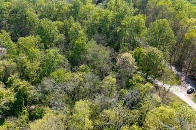 Tucked away just minutes from Center Hill Lake, this vacant lot - photo 6