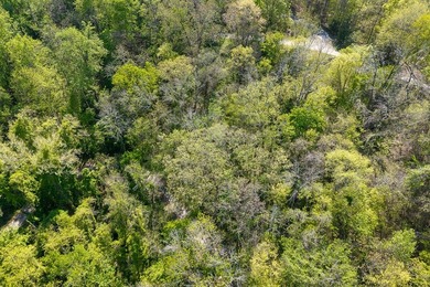 Tucked away just minutes from Center Hill Lake, this vacant lot - photo 9