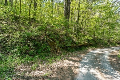 Tucked away just minutes from Center Hill Lake, this vacant lot - photo 10