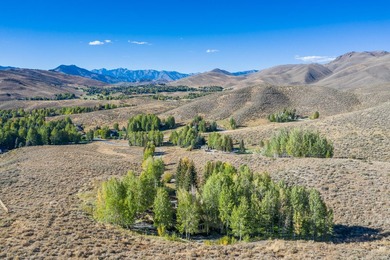Escape to your own private Idaho. 8.84-acre retreat with a - photo 27