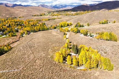 Escape to your own private Idaho. 8.84-acre retreat with a - photo 28