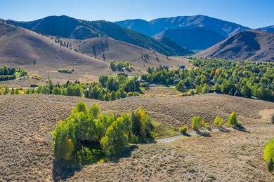 Escape to your own private Idaho. 8.84-acre retreat with a - photo 29