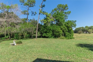 Exceptional opportunity to own an oversized homesite of nearly - photo 49