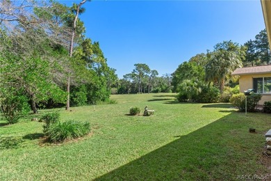 Exceptional opportunity to own an oversized homesite of nearly - photo 50
