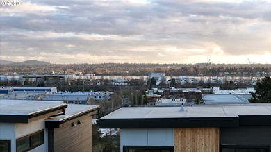 Luxurious New Construction Townhome. Move-In Ready. This - photo 3