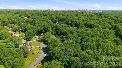 Nestled on a private, tree-lined one-acre lot in Mountainbrook - photo 48