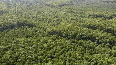 (private lake, pond, creek) Acreage For Sale in Maurepas Louisiana