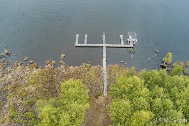 CISCO LAKE CHAIN- 395 feet of shared frontage on Big Lake; a 771 - photo 11