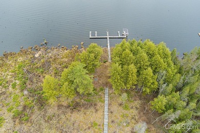 CISCO LAKE CHAIN- 395 feet of shared frontage on Big Lake; a 771 - photo 13