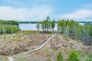 CISCO LAKE CHAIN- 395 feet of shared frontage on Big Lake; a 771 - photo 14