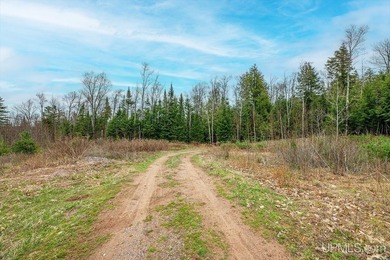CISCO LAKE CHAIN- 395 feet of shared frontage on Big Lake; a 771 - photo 16