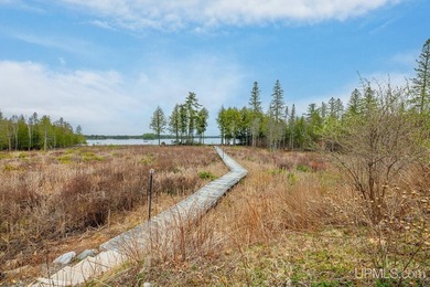 CISCO LAKE CHAIN- 395 feet of shared frontage on Big Lake; a 771 - photo 18