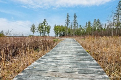 CISCO LAKE CHAIN- 395 feet of shared frontage on Big Lake; a 771 - photo 19