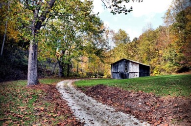 Lake Acreage For Sale in Vanceburg, Kentucky