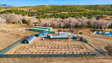 The Headwaters of Opportunity: Arrowhead Canyon Farm ~ A rare - photo 21