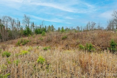 CISCO LAKE CHAIN- 395 feet of shared frontage on Big Lake; a 771 - photo 21