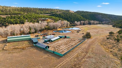 The Headwaters of Opportunity: Arrowhead Canyon Farm ~ A rare - photo 22