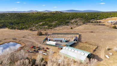 The Headwaters of Opportunity: Arrowhead Canyon Farm ~ A rare - photo 24