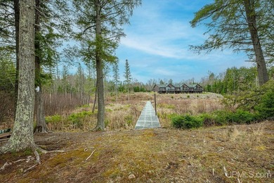 CISCO LAKE CHAIN- 395 feet of shared frontage on Big Lake; a 771 - photo 24