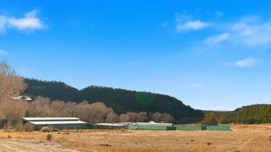 The Headwaters of Opportunity: Arrowhead Canyon Farm ~ A rare - photo 26