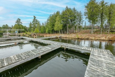 CISCO LAKE CHAIN- 395 feet of shared frontage on Big Lake; a 771 - photo 28