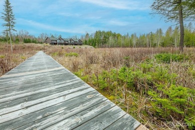 CISCO LAKE CHAIN- 395 feet of shared frontage on Big Lake; a 771 - photo 29