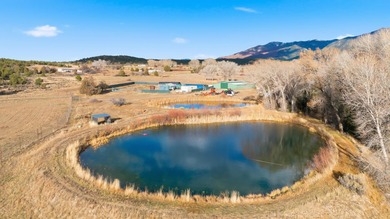 The Headwaters of Opportunity: Arrowhead Canyon Farm ~ A rare - photo 32