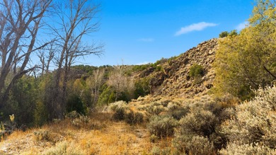 The Headwaters of Opportunity: Arrowhead Canyon Farm ~ A rare - photo 34