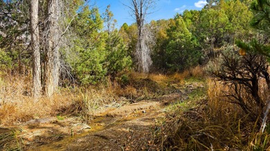 The Headwaters of Opportunity: Arrowhead Canyon Farm ~ A rare - photo 37