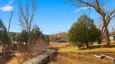 The Headwaters of Opportunity: Arrowhead Canyon Farm ~ A rare - photo 39