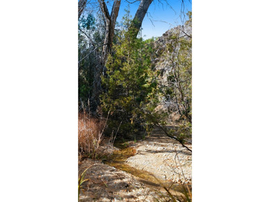 The Headwaters of Opportunity: Arrowhead Canyon Farm ~ A rare - photo 40