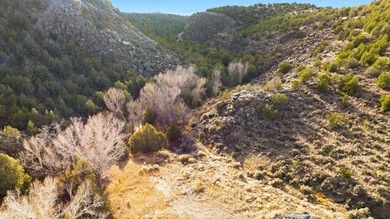 The Headwaters of Opportunity: Arrowhead Canyon Farm ~ A rare - photo 43