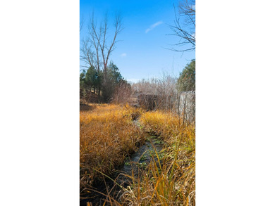 The Headwaters of Opportunity: Arrowhead Canyon Farm ~ A rare - photo 45
