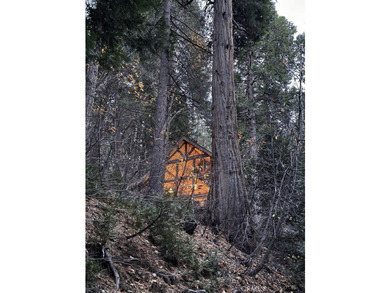 667 Dogwood Cyn - photo 49