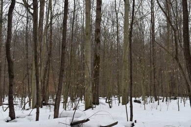 (private lake, pond, coastal) Acreage For Sale in Spring Creek Pennsylvania