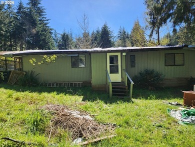 Spacious manufactured home situated on a large city lot - photo 5